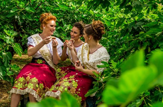 Foto: Adriana Monteiro Arrial/Arquivo | Comunicação PMNP